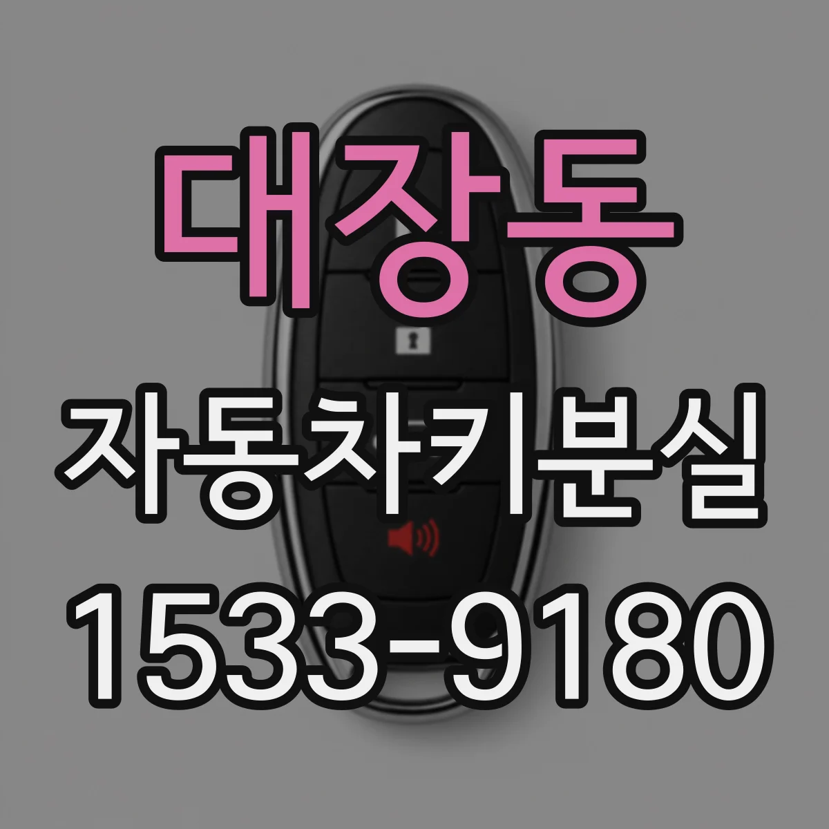 대장동 자동차키분실