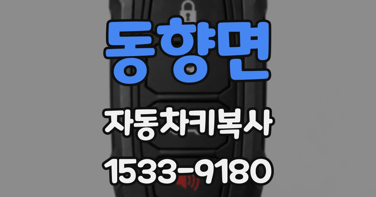 동향면 자동차키복사