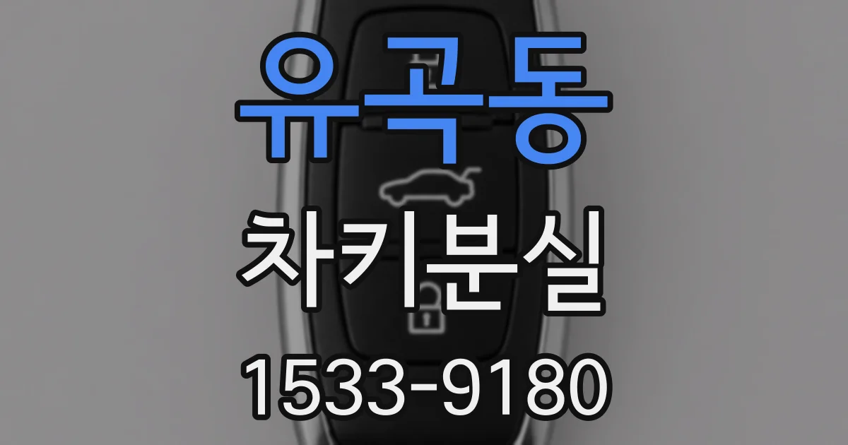 유곡동 차키분실