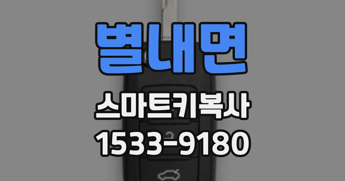 별내면 스마트키복사