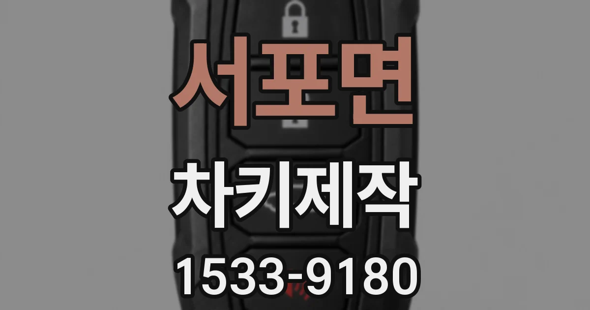 서포면 차키제작
