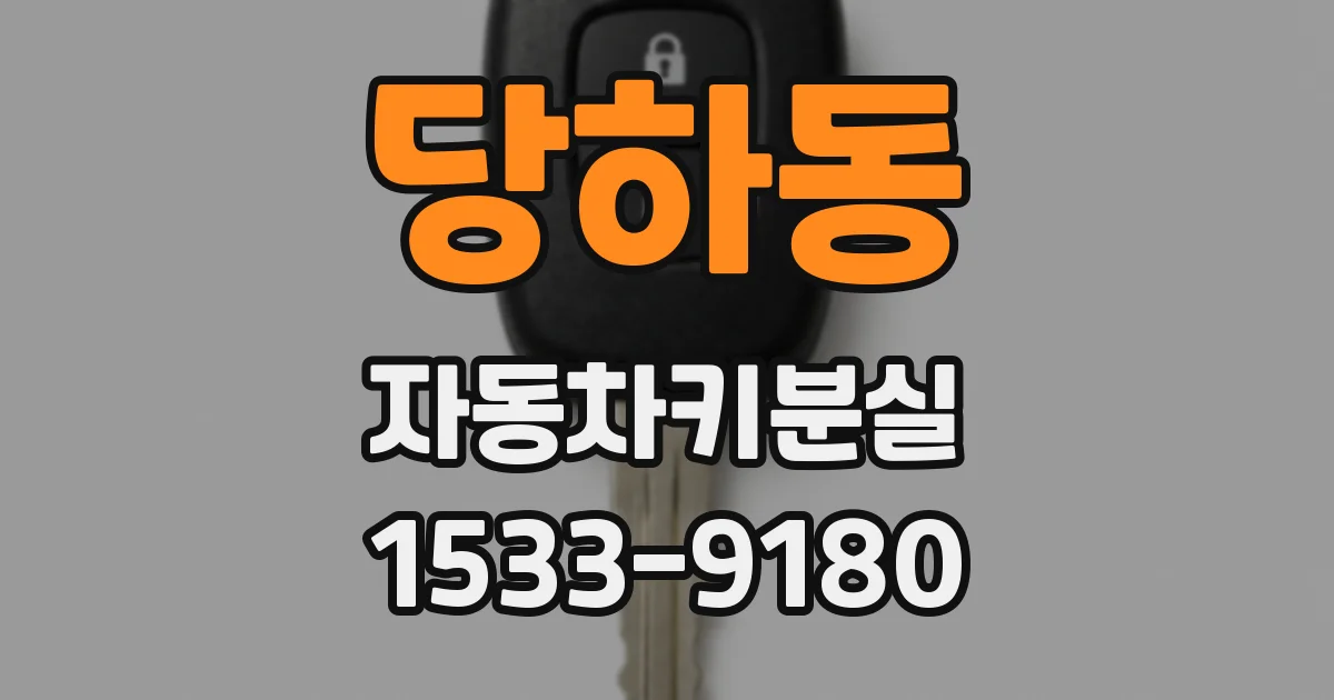 당하동 자동차키분실