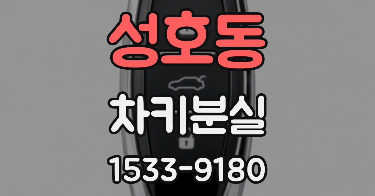 성호동 차키분실