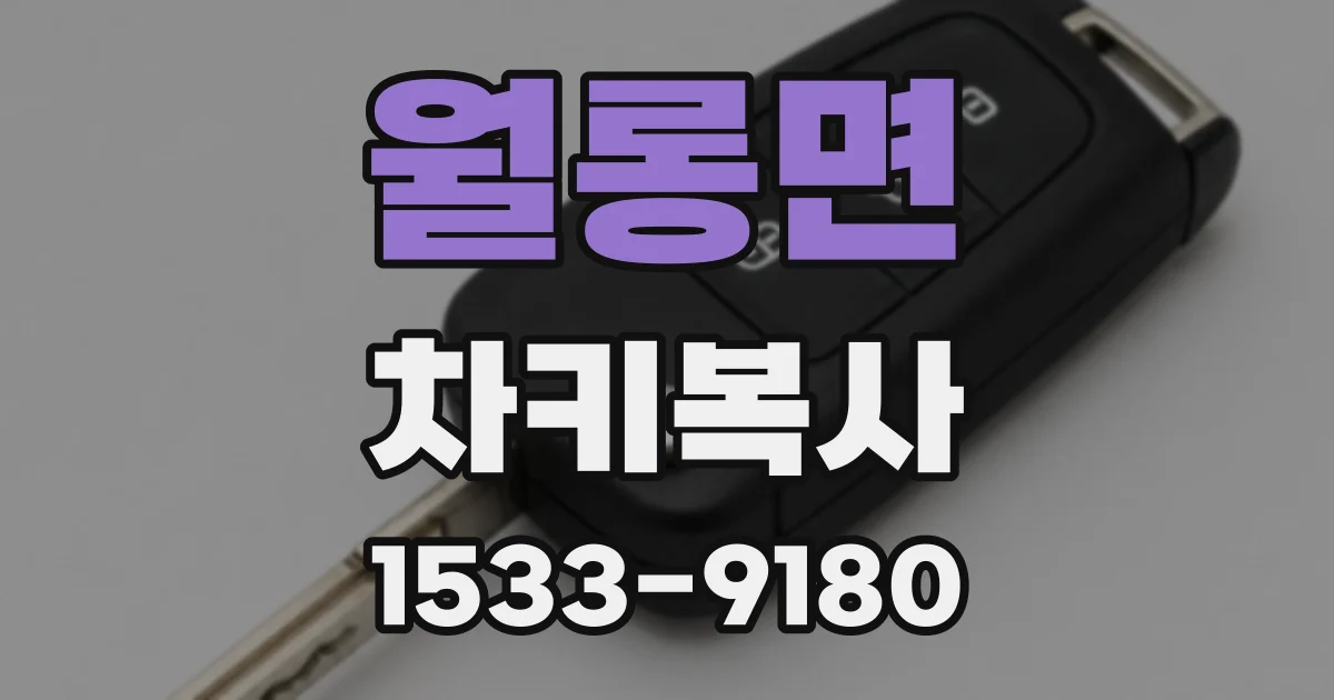 월롱면 차키복사