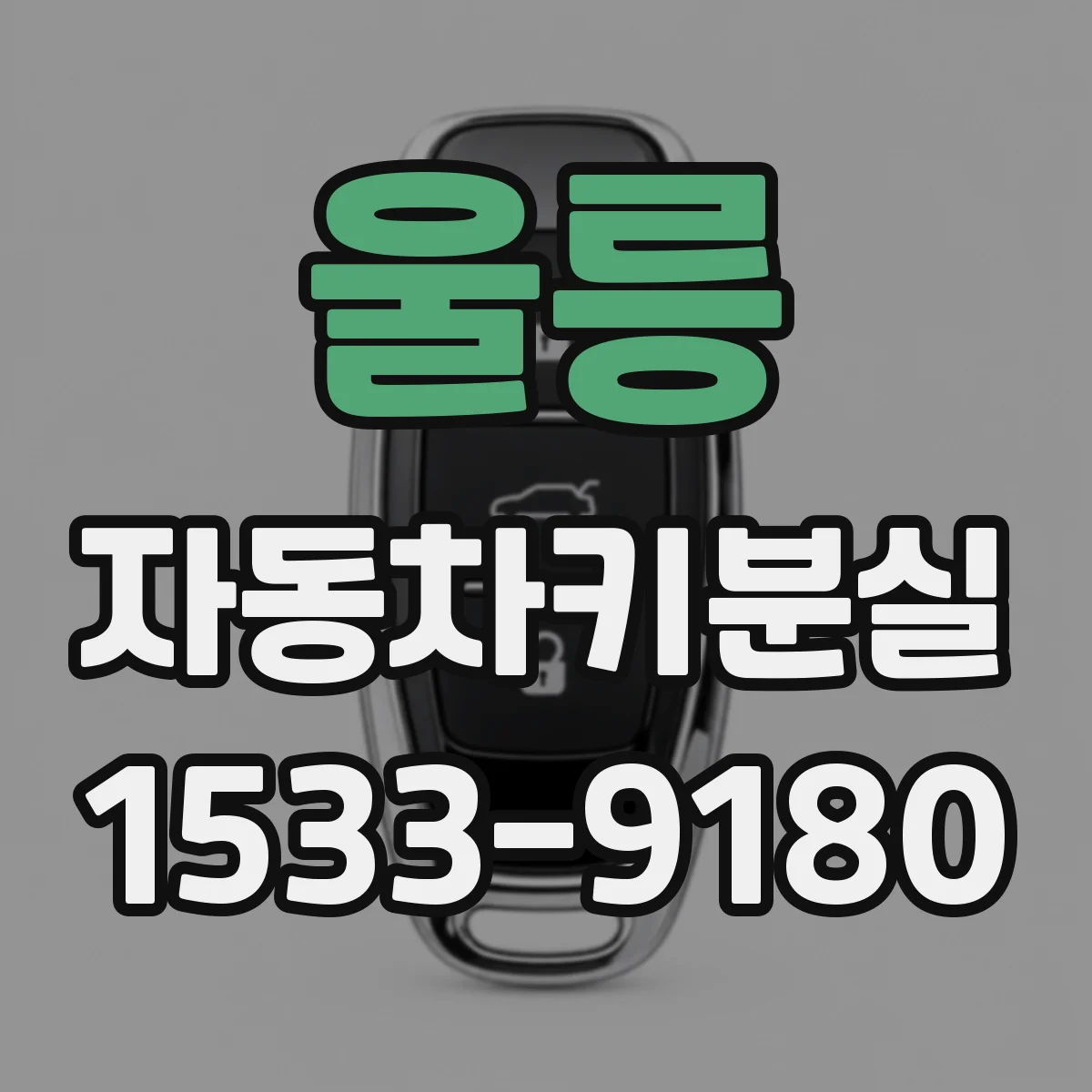 울릉 자동차키분실