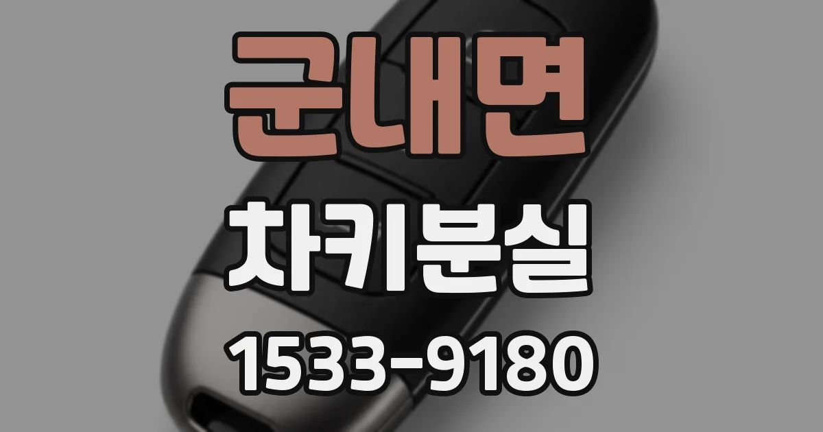 군내면 차키분실