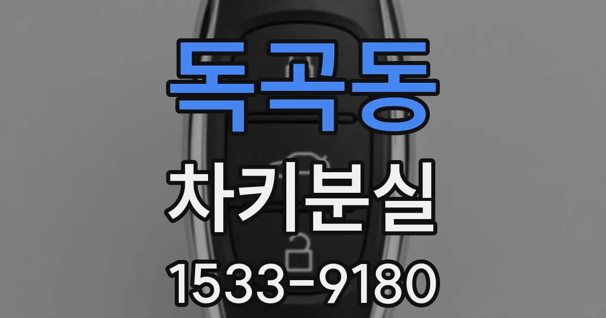 독곡동 차키분실