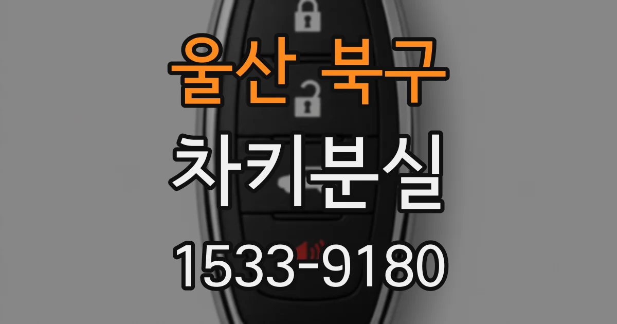 울산 북구 차키분실