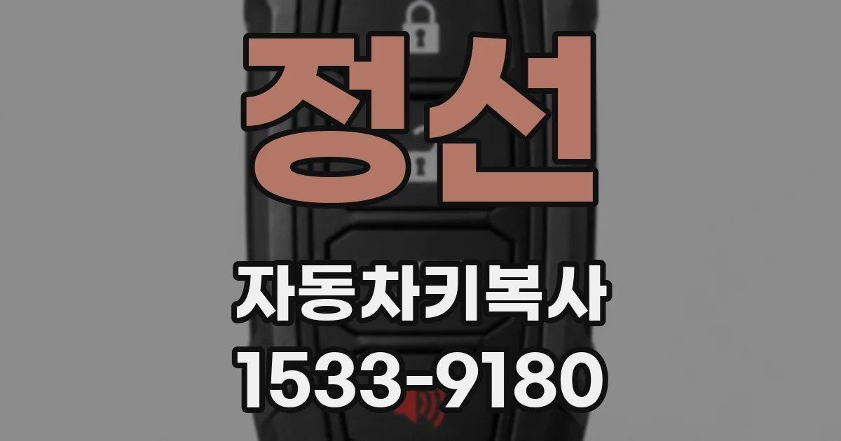 정선 자동차키복사