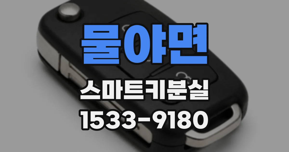 물야면 스마트키분실