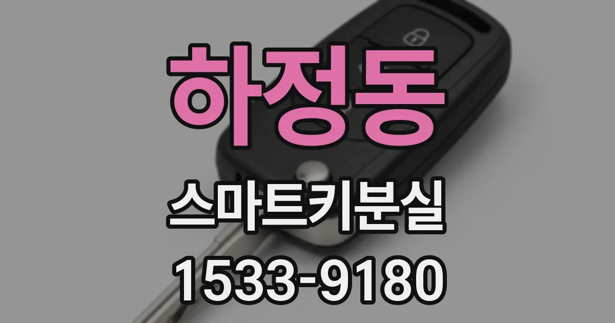 하정동 스마트키분실