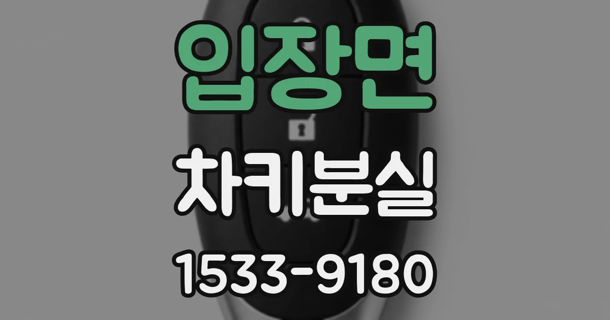입장면 차키분실