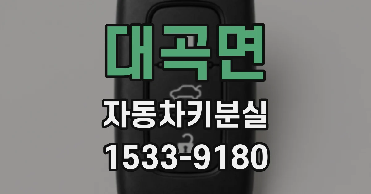 대곡면 자동차키분실