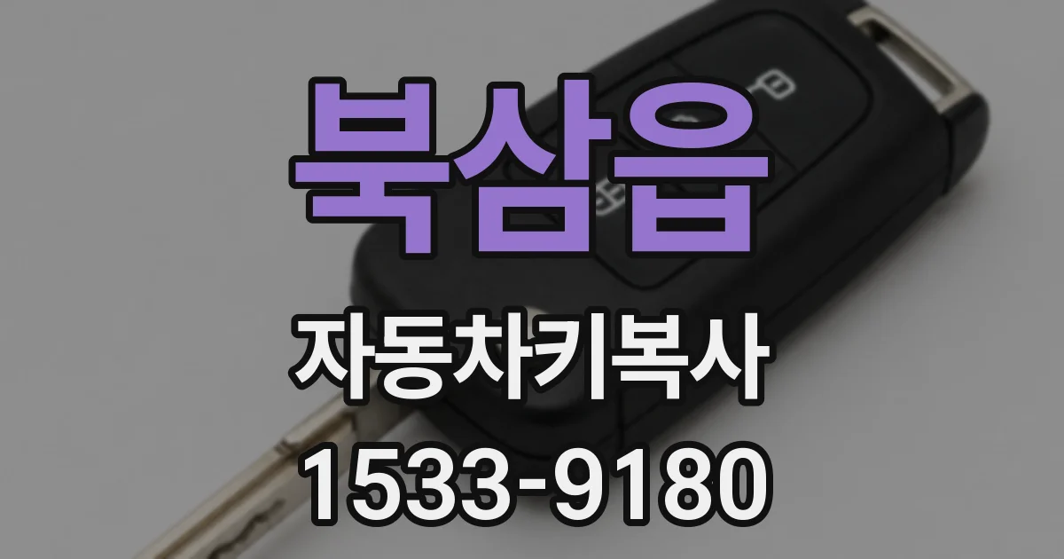북삼읍 자동차키복사