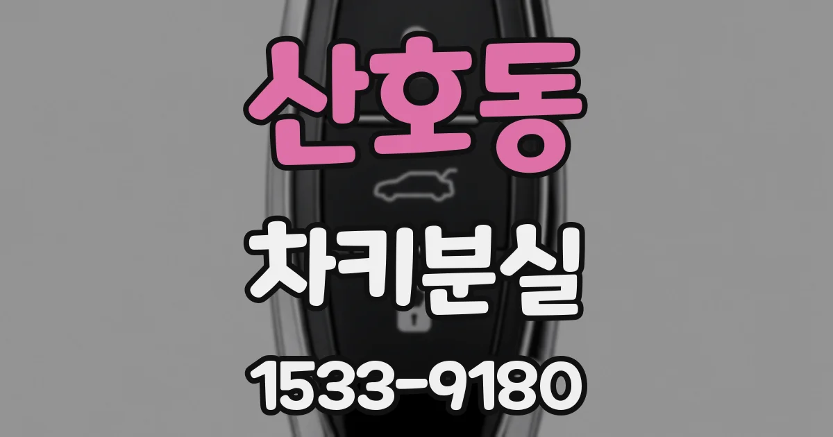 산호동 차키분실
