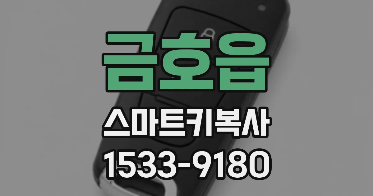 금호읍 스마트키복사