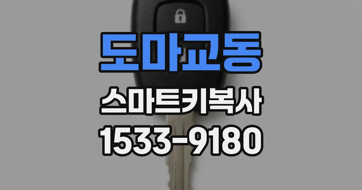도마교동 스마트키복사