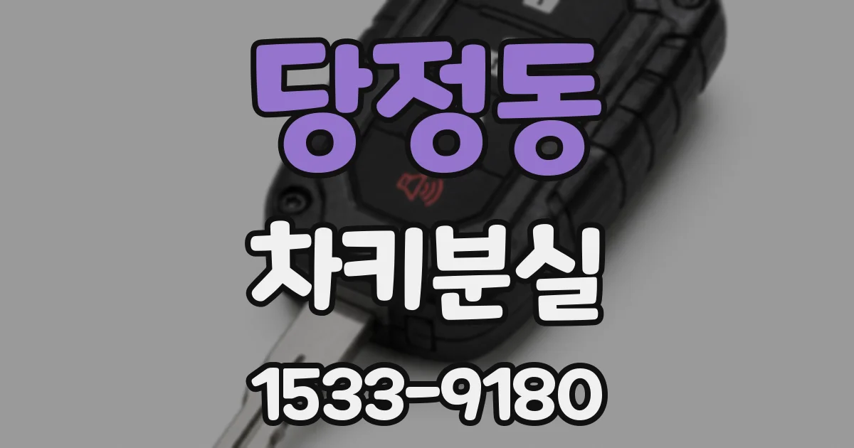 당정동 차키분실
