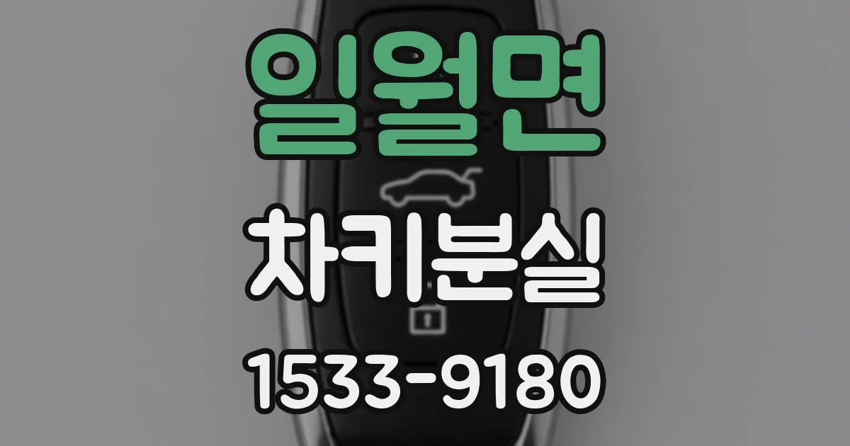 일월면 차키분실
