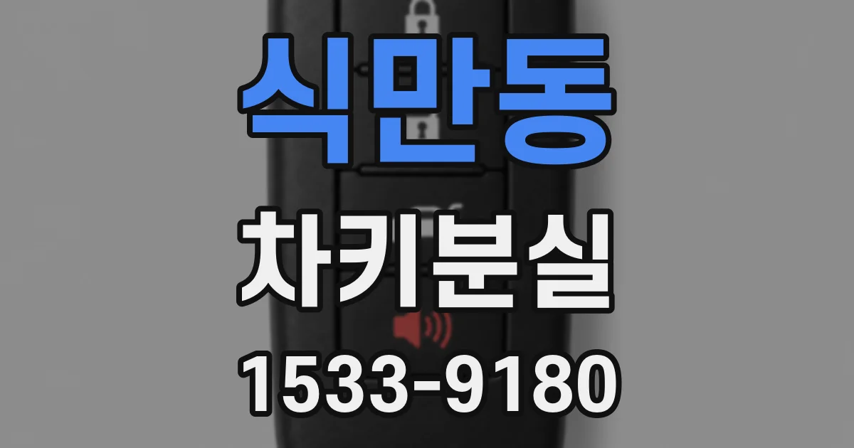 식만동 차키분실