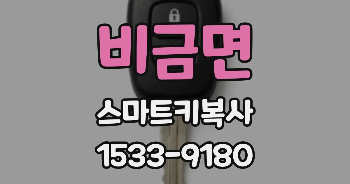 비금면 스마트키복사
