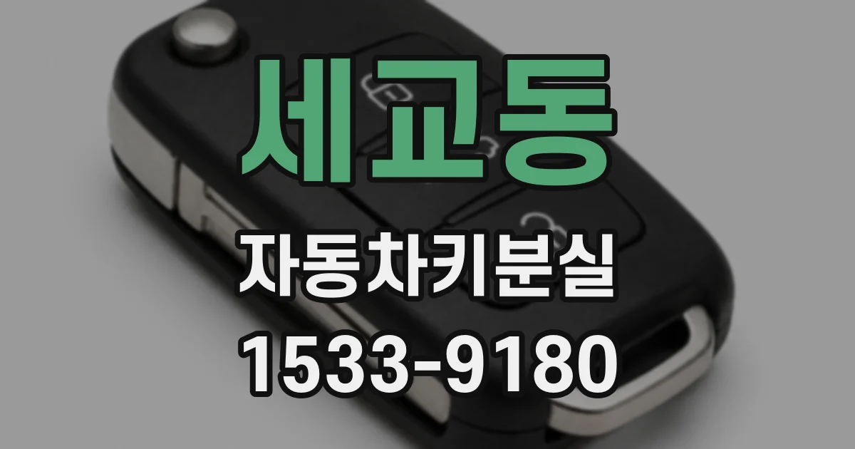 세교동 자동차키분실