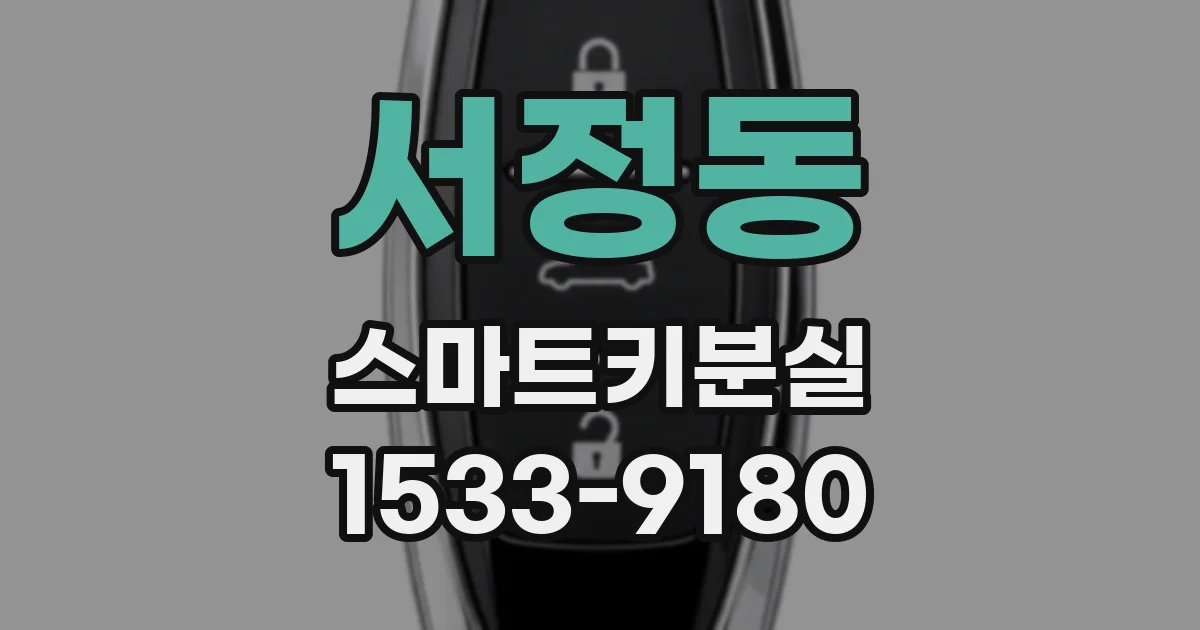 서정동 스마트키분실