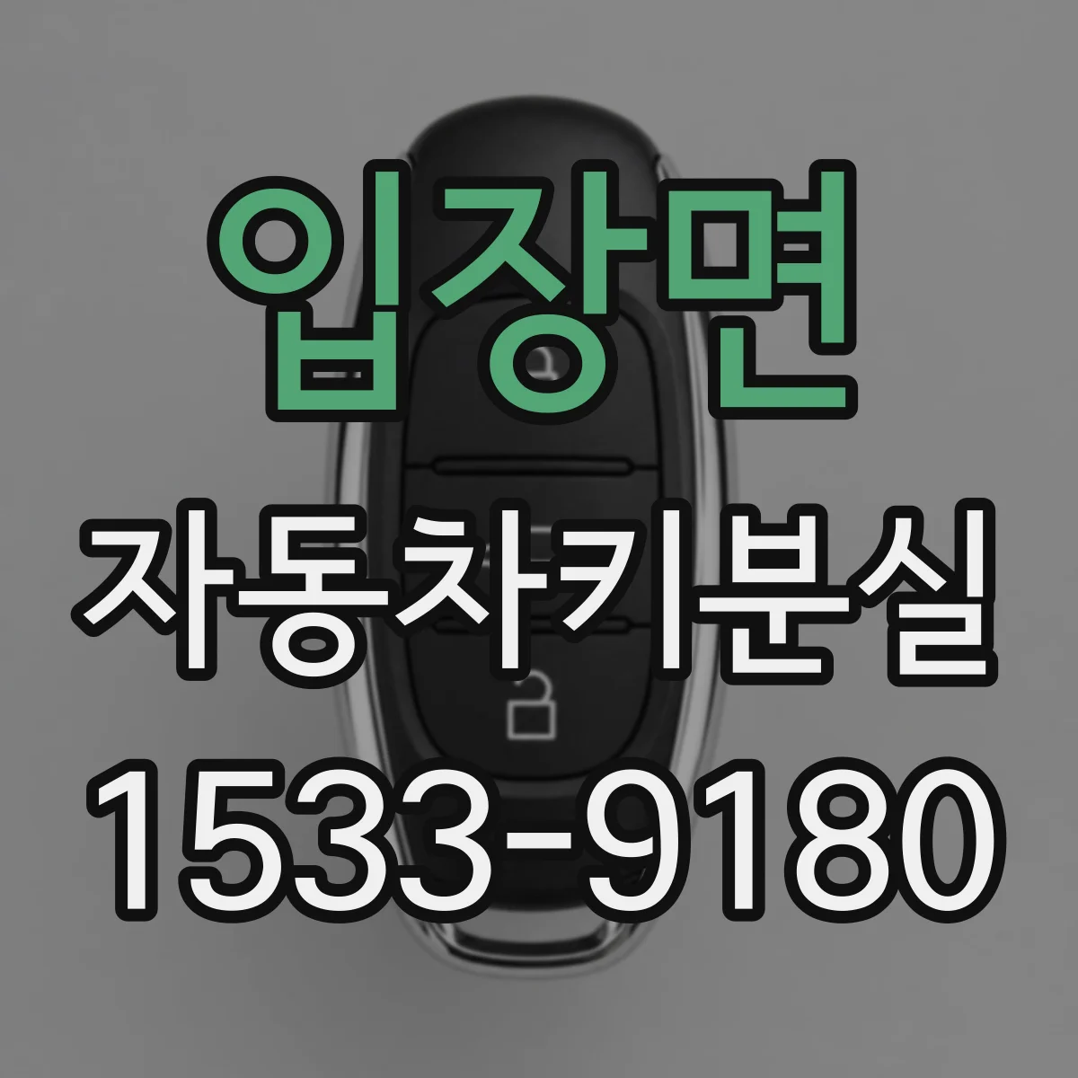 입장면 자동차키분실