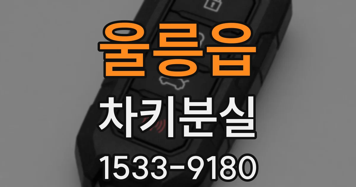 울릉읍 차키분실