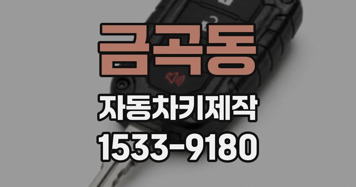 금곡동 자동차키제작