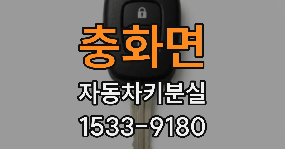 충화면 자동차키분실