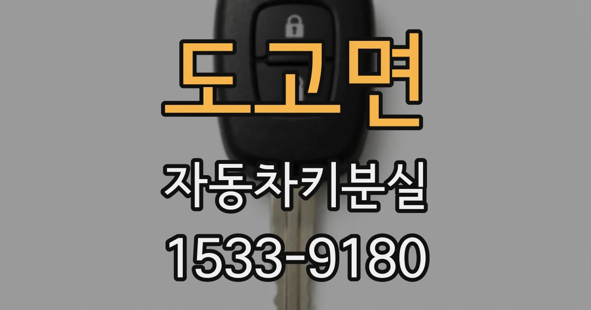도고면 자동차키분실
