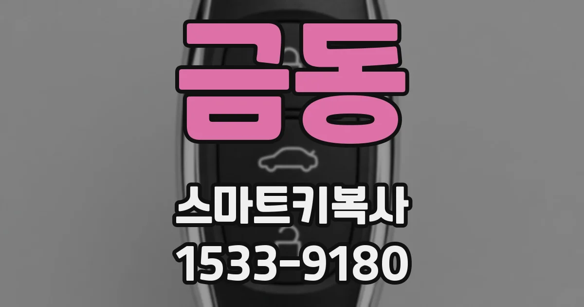 금동 스마트키복사
