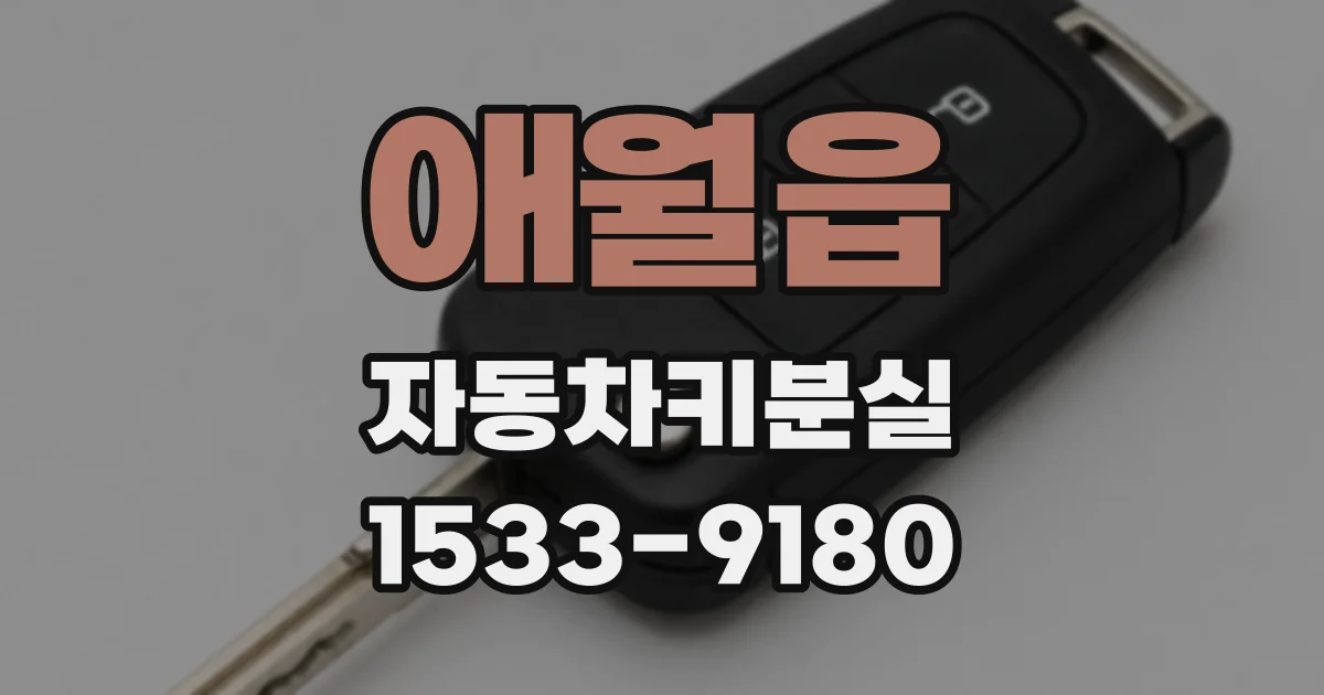 애월읍 자동차키분실