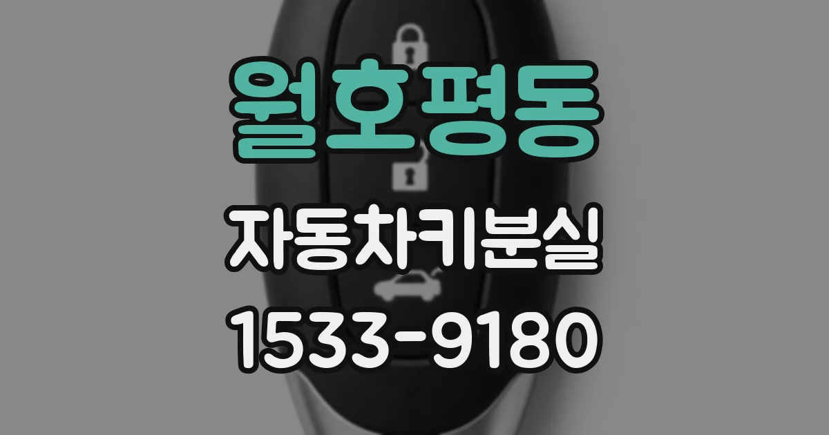 월호평동 자동차키분실