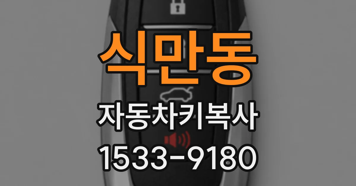 식만동 자동차키복사