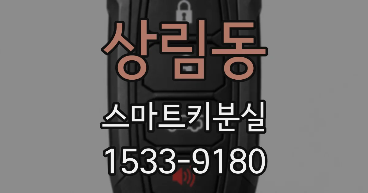 상림동 스마트키분실