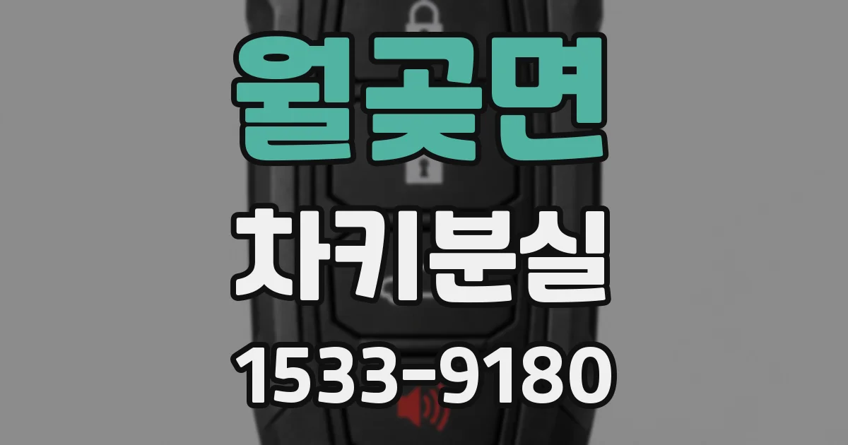 월곶면 차키분실