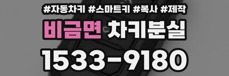 비금면 차키분실