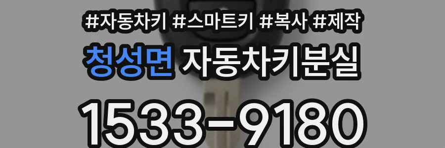 청성면 자동차키분실