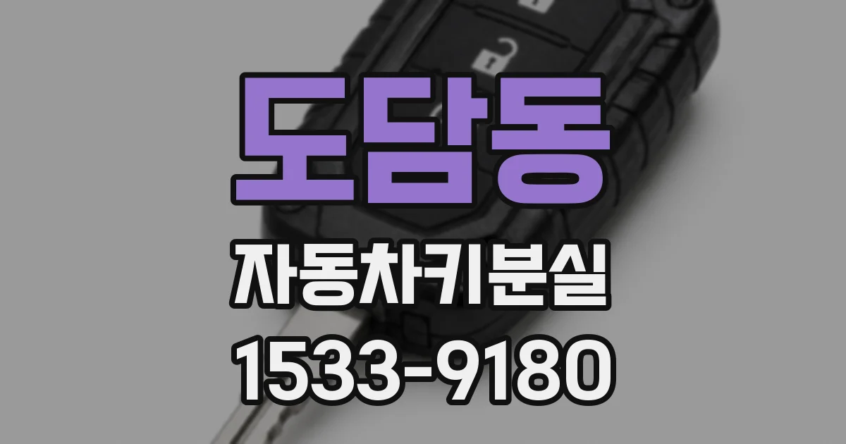 도담동 자동차키분실
