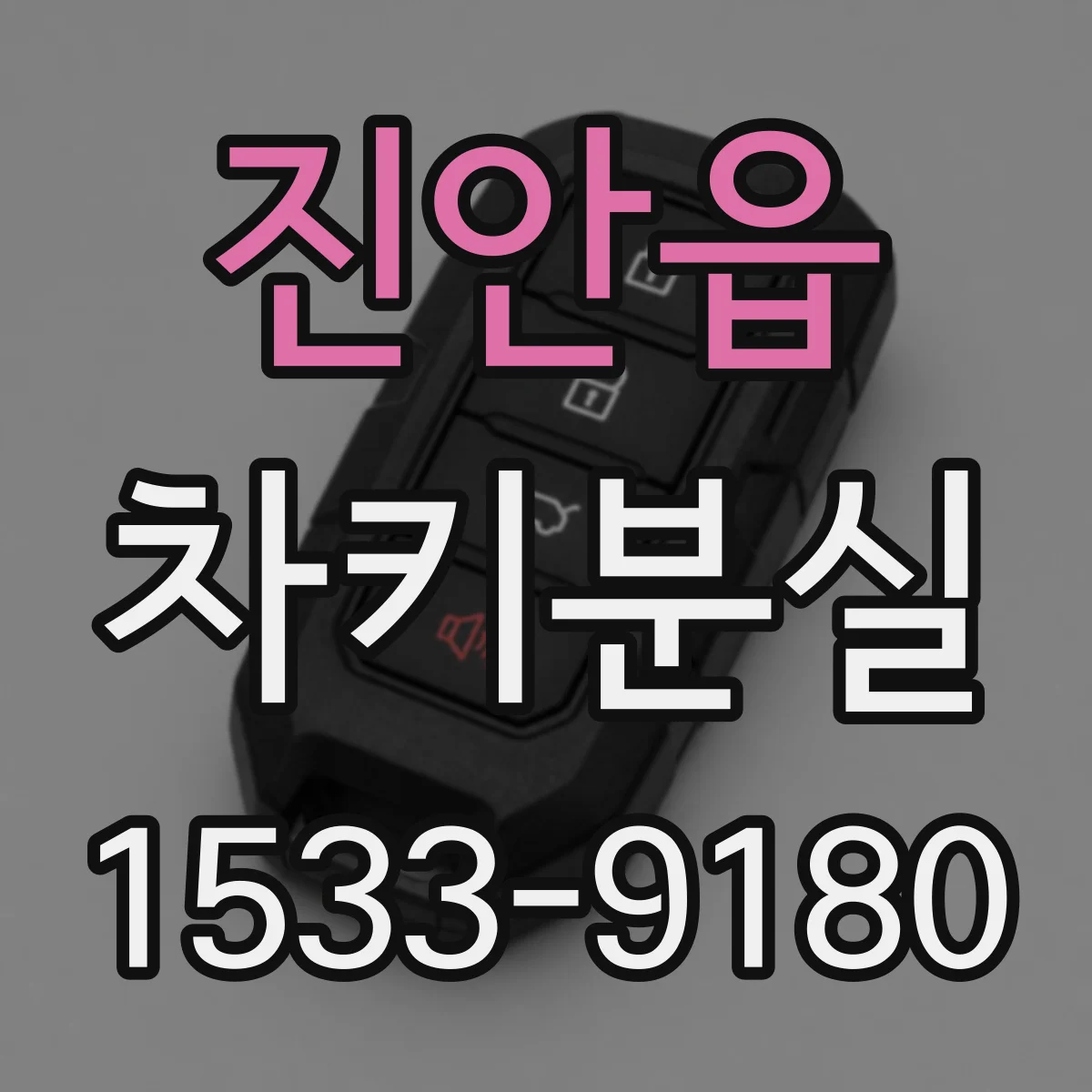 진안읍 차키분실