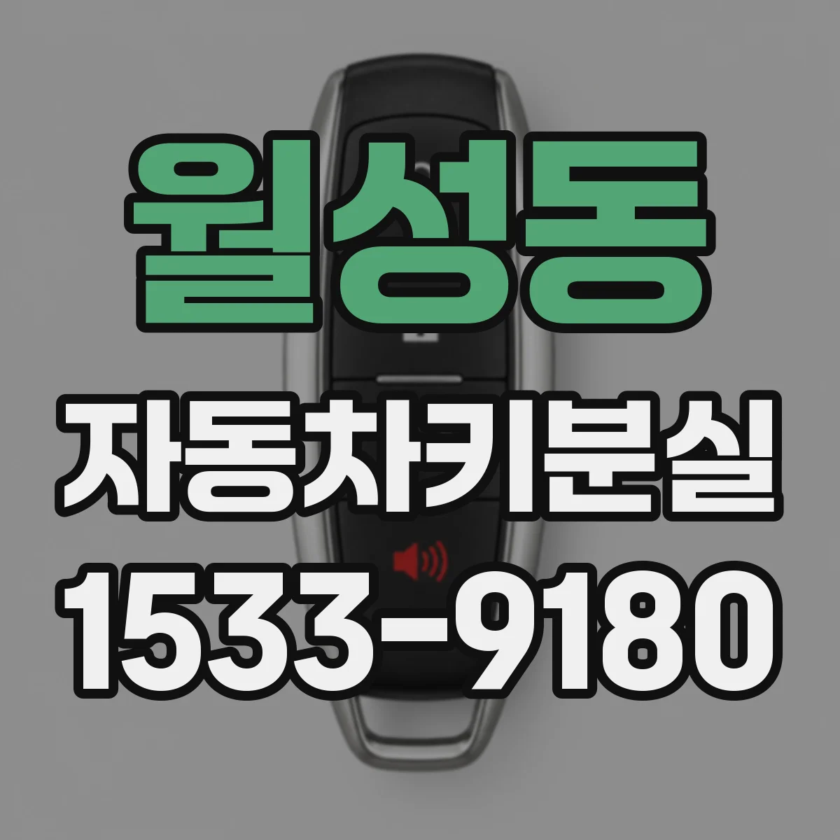 월성동 자동차키분실