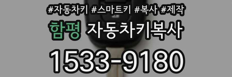 함평 자동차키복사
