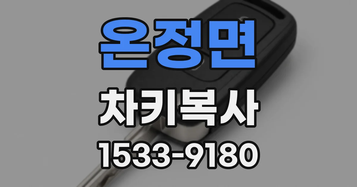 온정면 차키복사