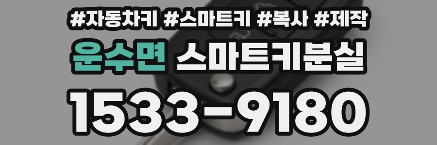 운수면 스마트키분실