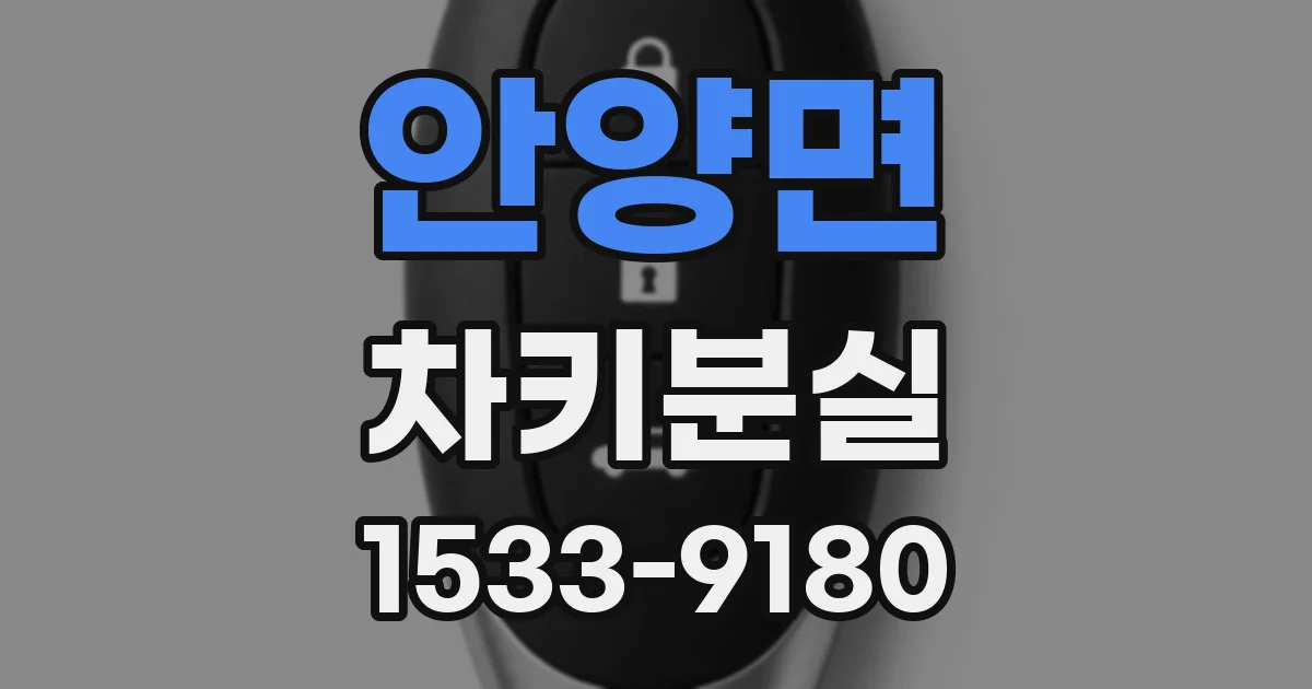 안양면 차키분실