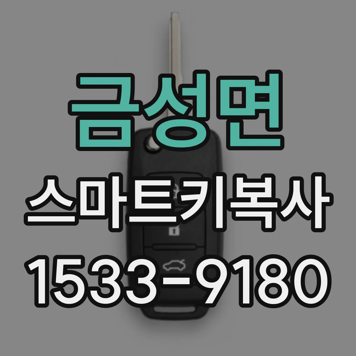 금성면 스마트키복사
