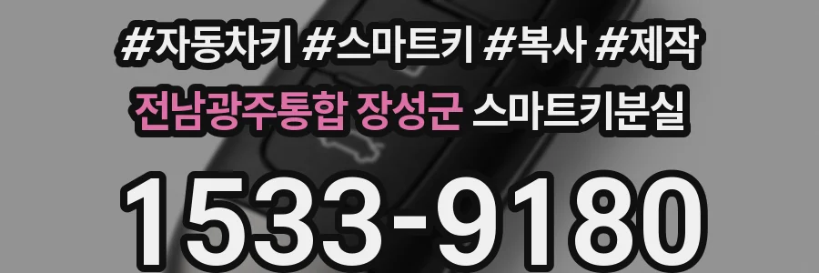전남광주통합 장성군 스마트키분실