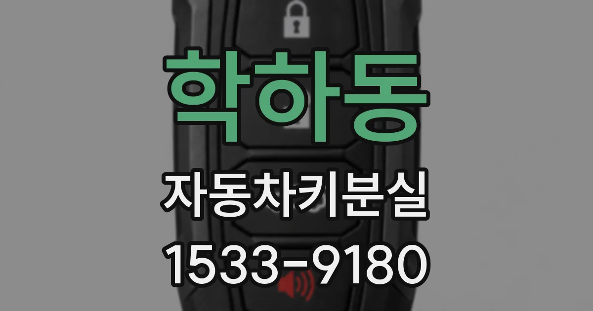 학하동 자동차키분실